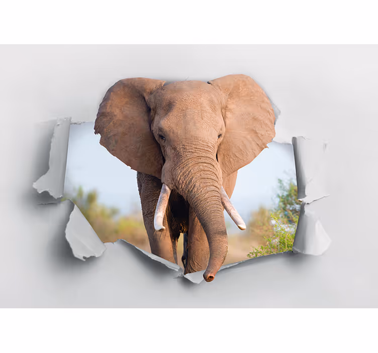 Fototapet dyr majestetisk elefantportrett - Tenstickers