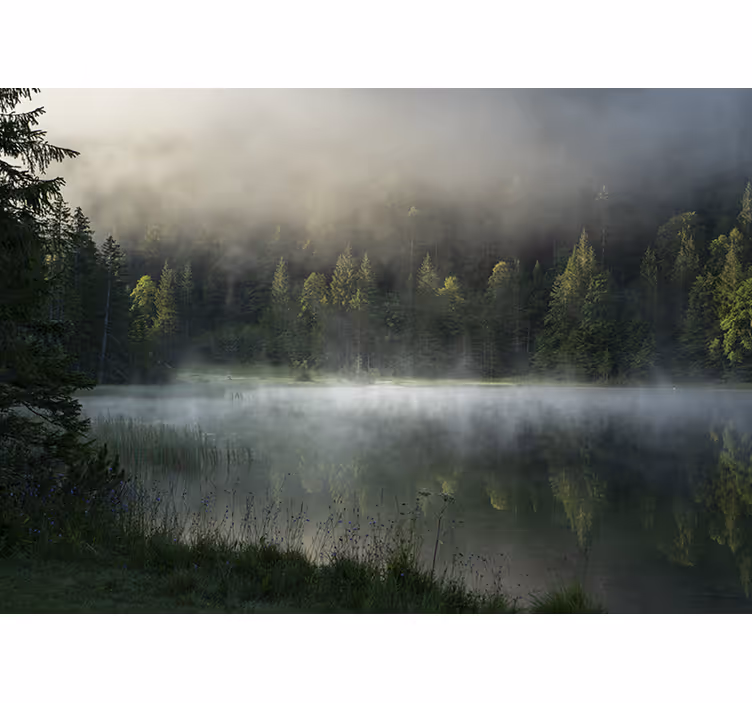Fototapet natur rolig tåkete innsjø - Tenstickers
