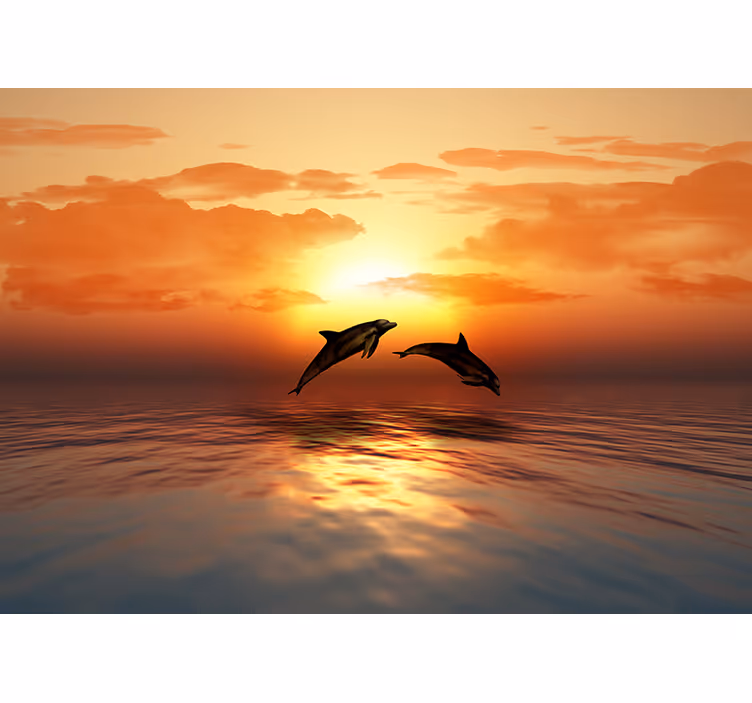 Delfiner som hopper om kvelden fototapet natur - Tenstickers
