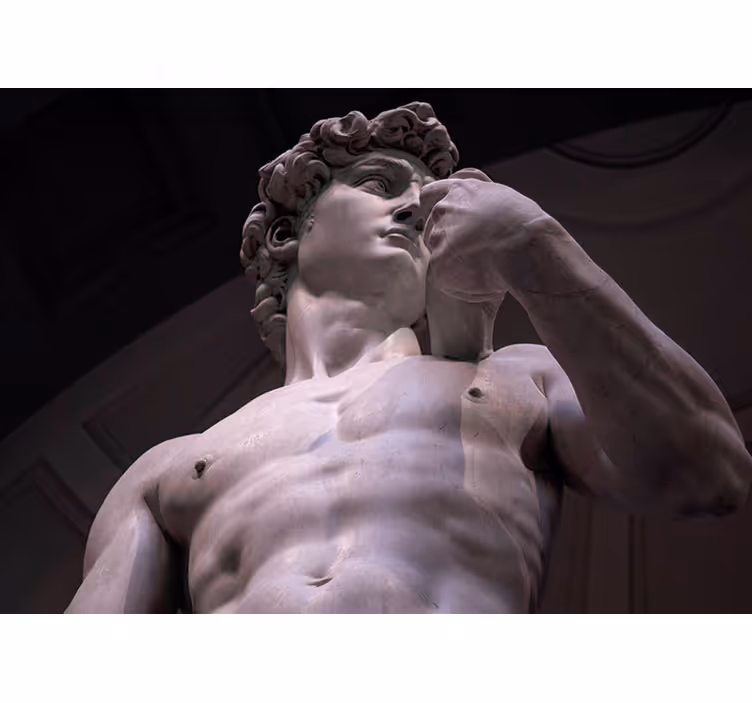 Michelangelos david fototapet klassisk kunst - Tenstickers