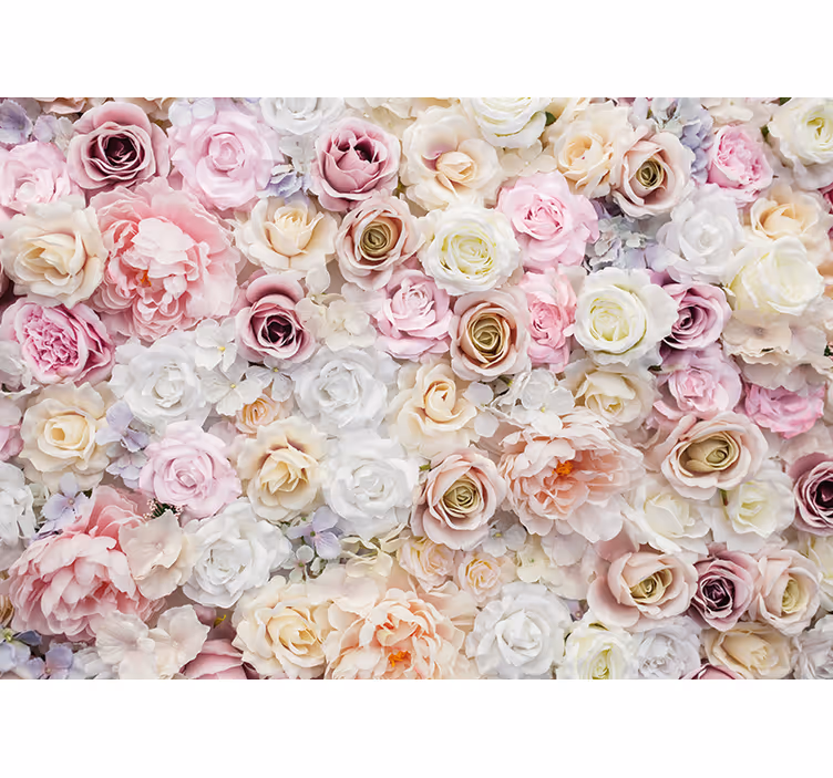 Fototapet blomster roseblomster kolleksjon - Tenstickers