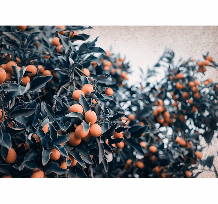Fototapet blomster sitrusfruktgren - Tenstickers