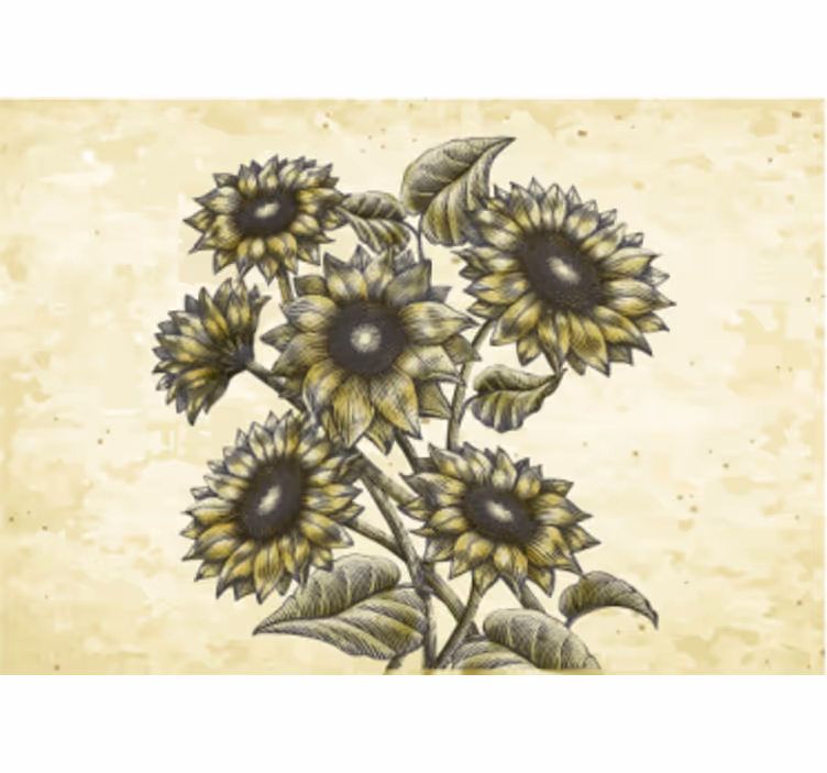 Fototapet blomster solsikke blomsterkomposisjon - Tenstickers