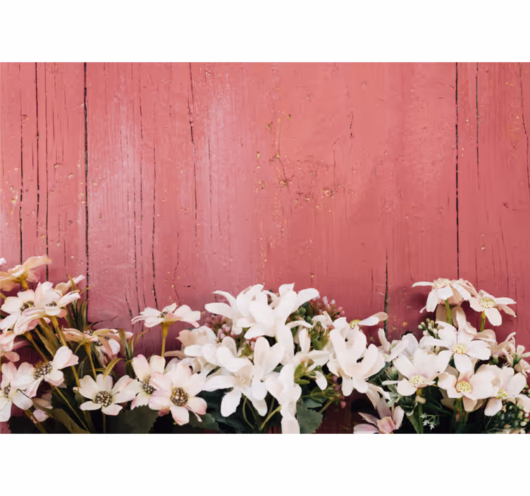 Fototapet blomster delikate hvite blomster - Tenstickers