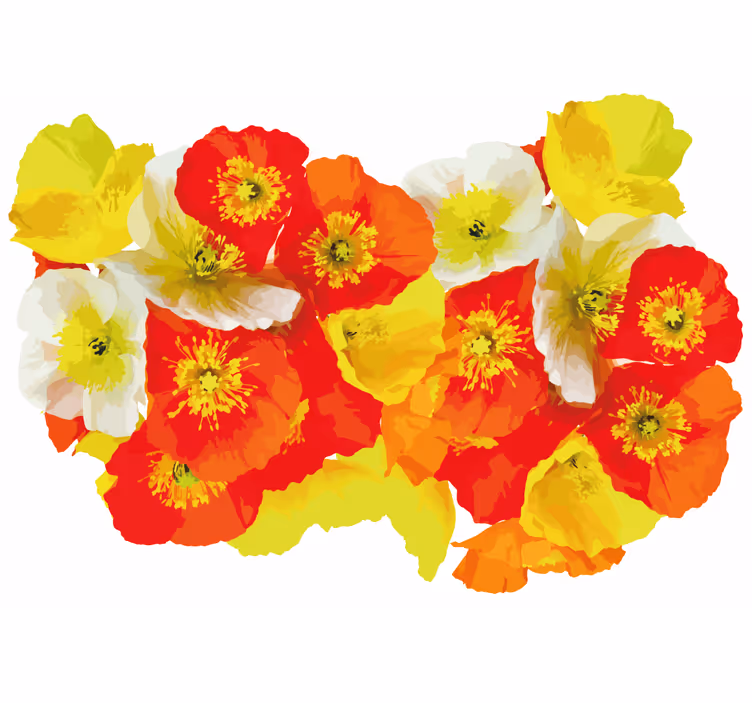Gule og oransje valmuer med hvit bakgrunn fototapet blomster - Tenstickers