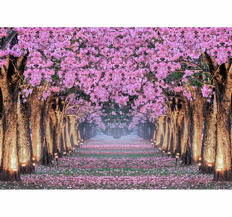 Sti med trær og rosa blomster fototapet skog - Tenstickers