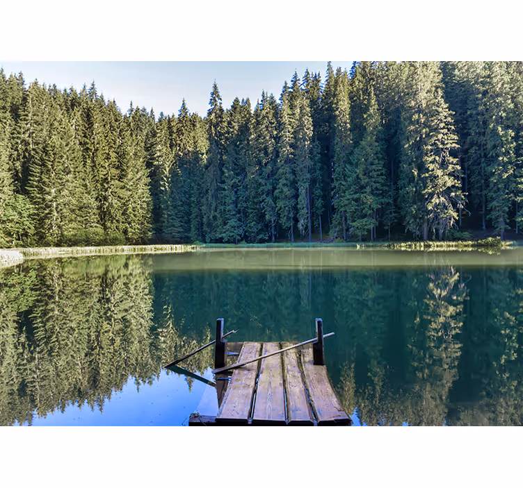Fototapet natur rolig skogsspeil - Tenstickers