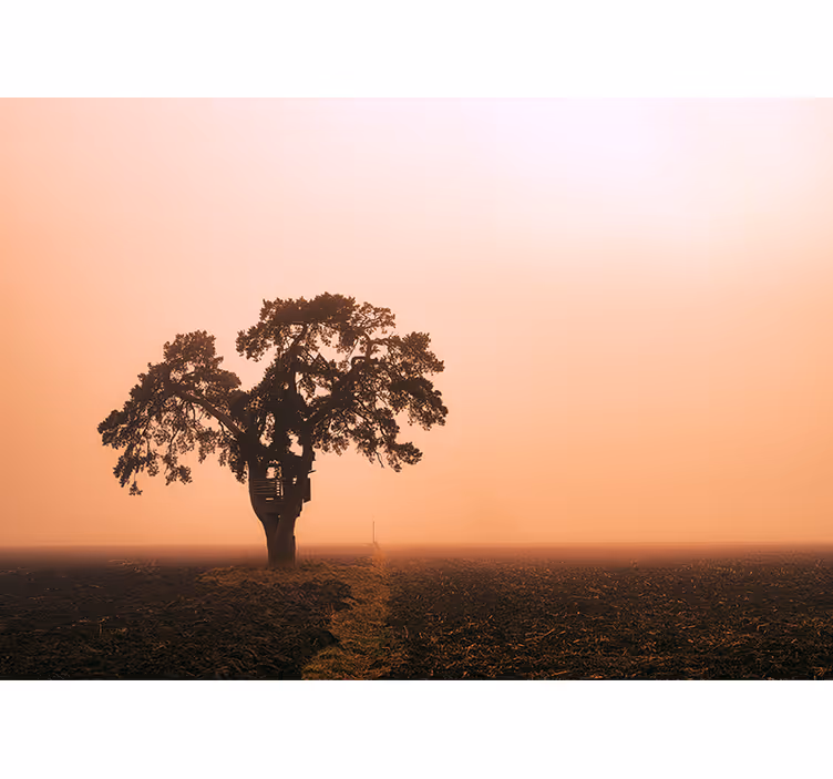 Majestetisk savannetre fototapet afrika - Tenstickers