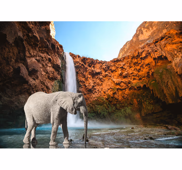 Fototapet dyr majestetisk elefant foss - Tenstickers