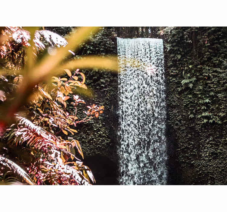 Tropisk rolig atmosfære Fototapet foss - Tenstickers