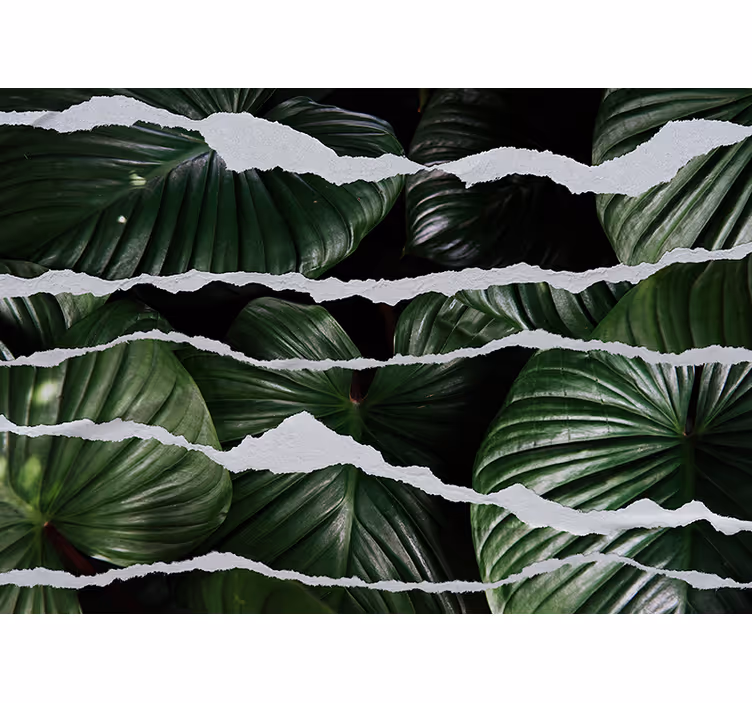 Fototapet natur frodig bladdesign - Tenstickers