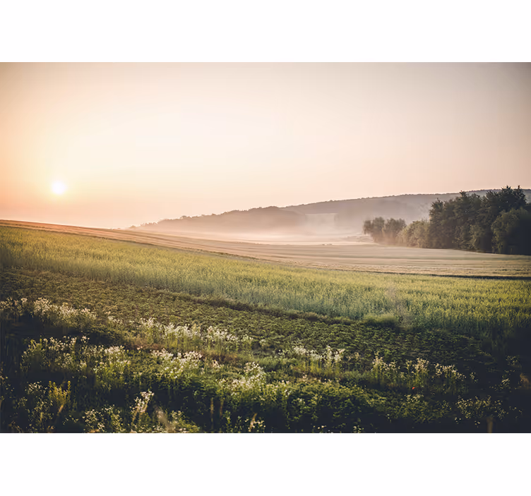 Fototapet landskap rolige grønne enger - Tenstickers