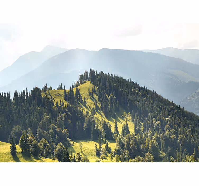 Fototapet landskap fjellskog scene - Tenstickers