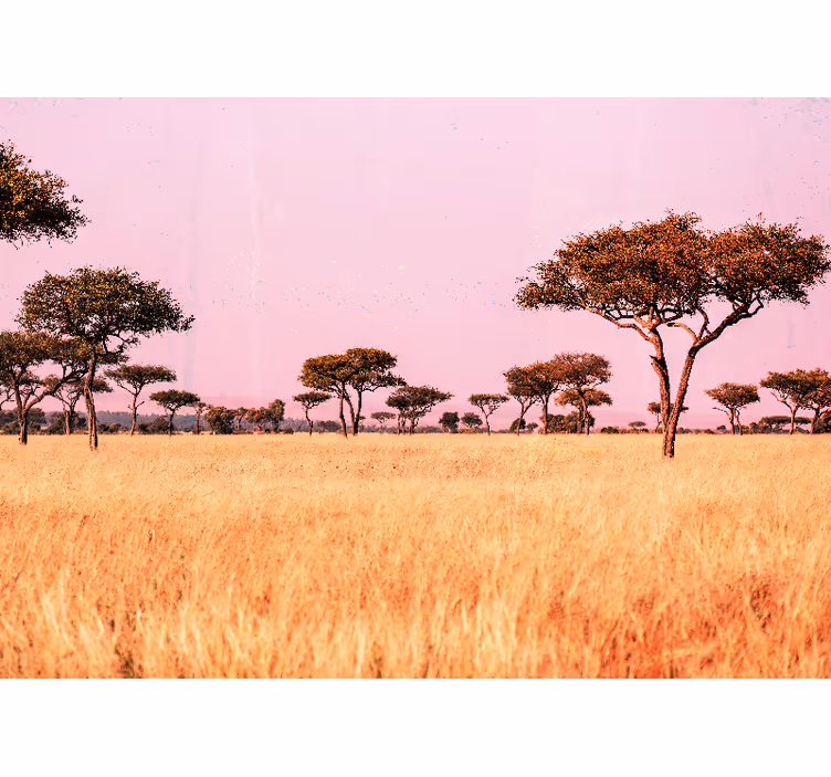 Original afrikansk savanne fototapet afrika - Tenstickers