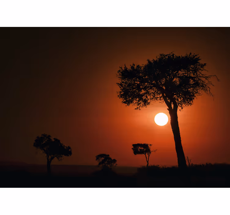 Silhuett solnedgang scene fototapet landskap - Tenstickers