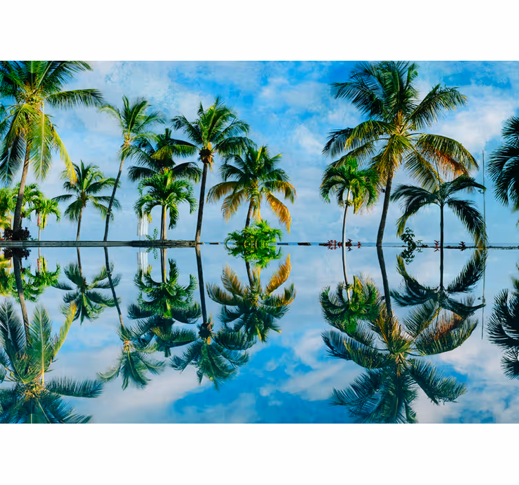 Fototapet natur frodige palme refleksjoner - Tenstickers