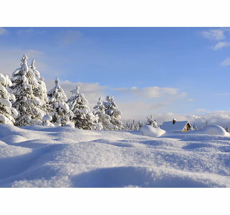 Fototapet landskap vinterlig snølandskap - Tenstickers