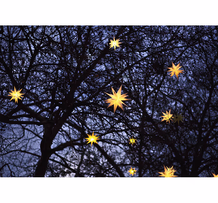 Jul fototapet gylden stjernehimmel - Tenstickers