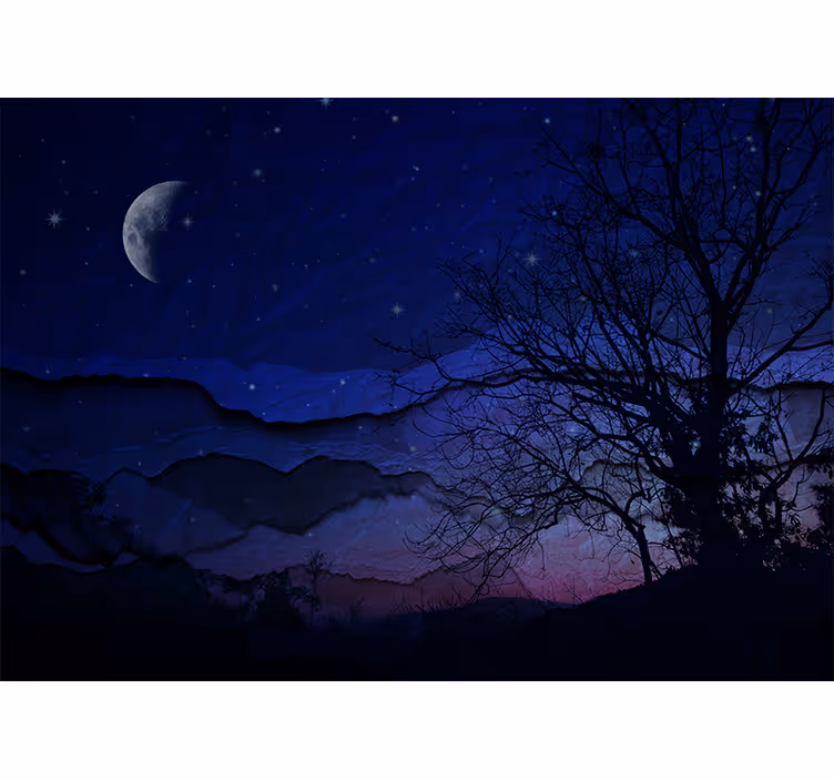 Natt originalt landskap med måne Fototapet himmel - Tenstickers