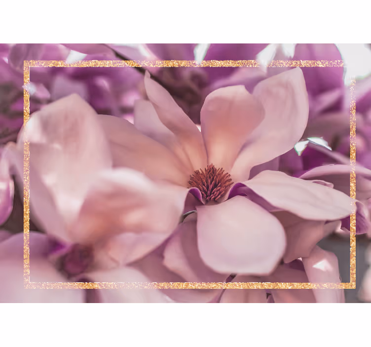 Fototapet blomster magnolia nærbilde - Tenstickers