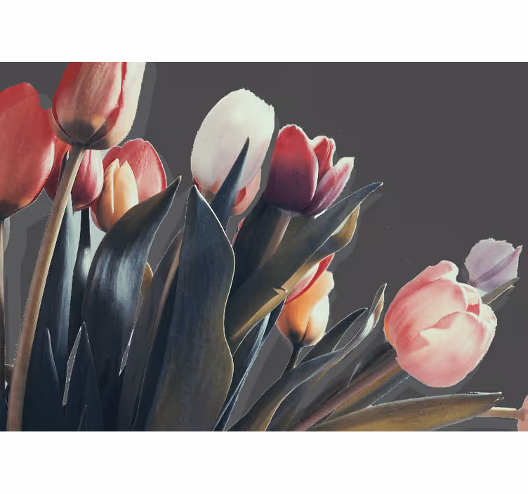 Rosa tulipaner på en svart bakgrunn fototapet tulipaner - Tenstickers