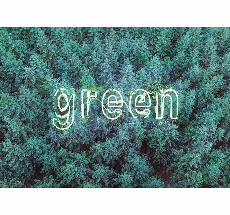 Fototapet natur grønn skog skrift - Tenstickers