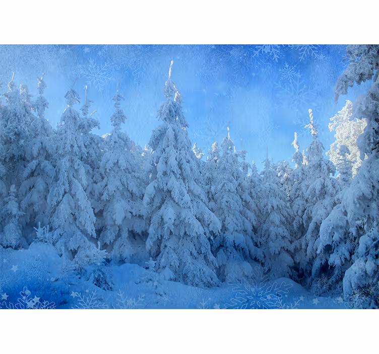 Fototapet skog snødekte furutrær - Tenstickers