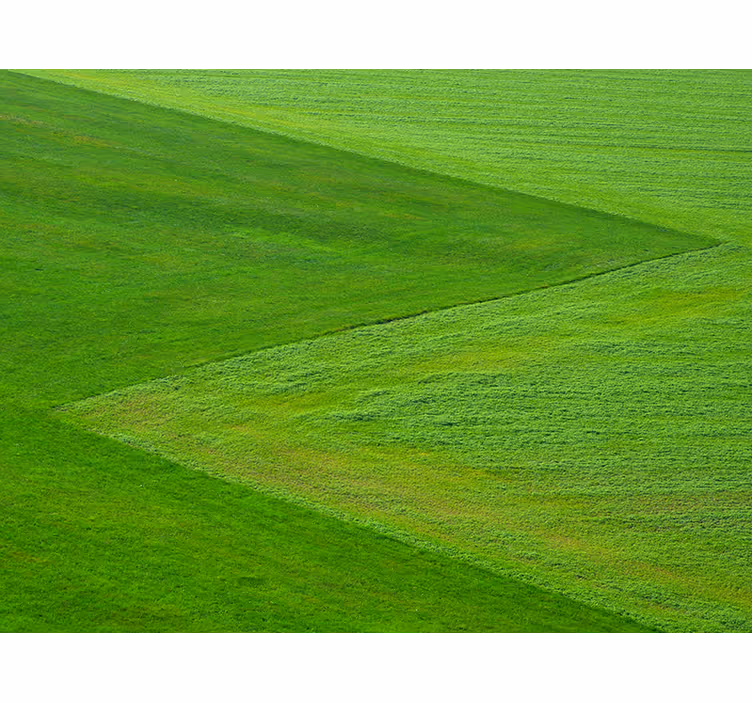 Rene grønne felt fototapet natur - Tenstickers
