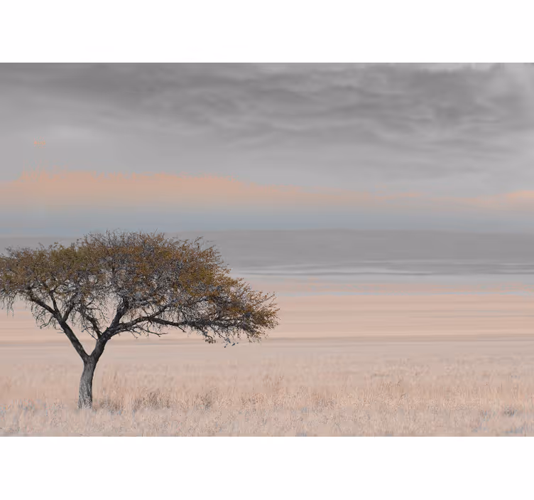 Afrikansk savanne 3 farger fototapet ekteskap - Tenstickers