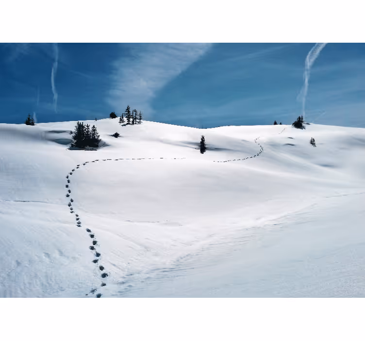 Fototapet fjell snøfyllt fjellsti - Tenstickers