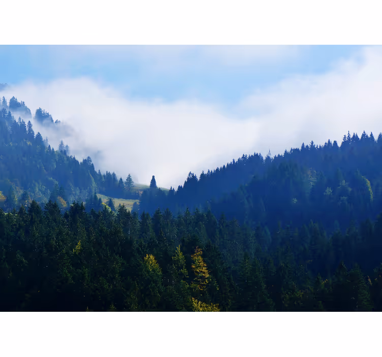 Fototapet natur fjell og tåke - Tenstickers