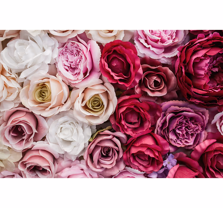Rosa og hvite roser fototapet blomster - Tenstickers