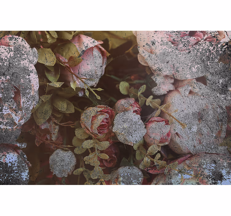 Fototapet blomster roser og blader - Tenstickers