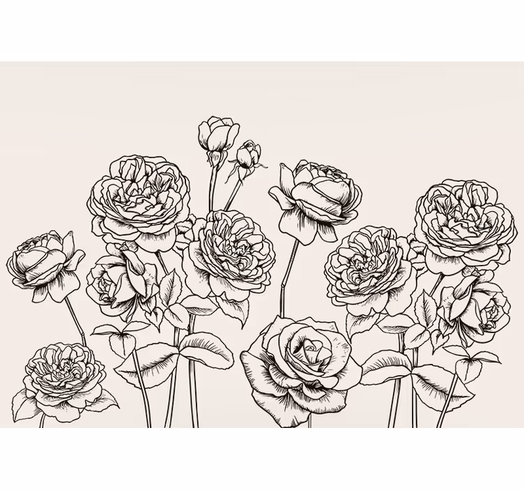 Fototapet blomster elegant rosedesign - Tenstickers