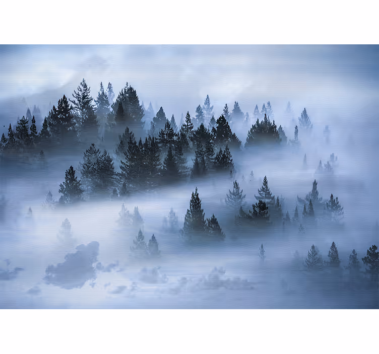 Fototapet natur tåkete eviggrønne skoger - Tenstickers