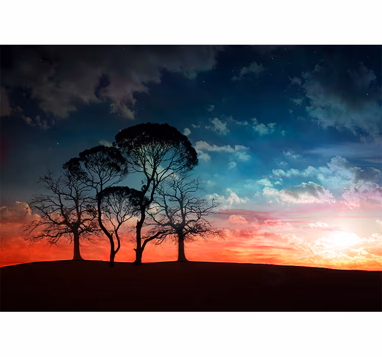 Solnedgang og trær estetiske farger fototapet natur - Tenstickers