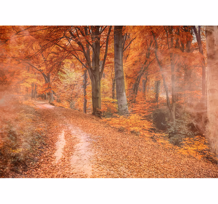 Fototapet natur høststien - Tenstickers