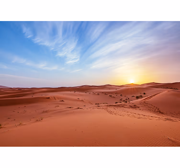 Fototapet ørken gyllen ørken solnedgang - Tenstickers