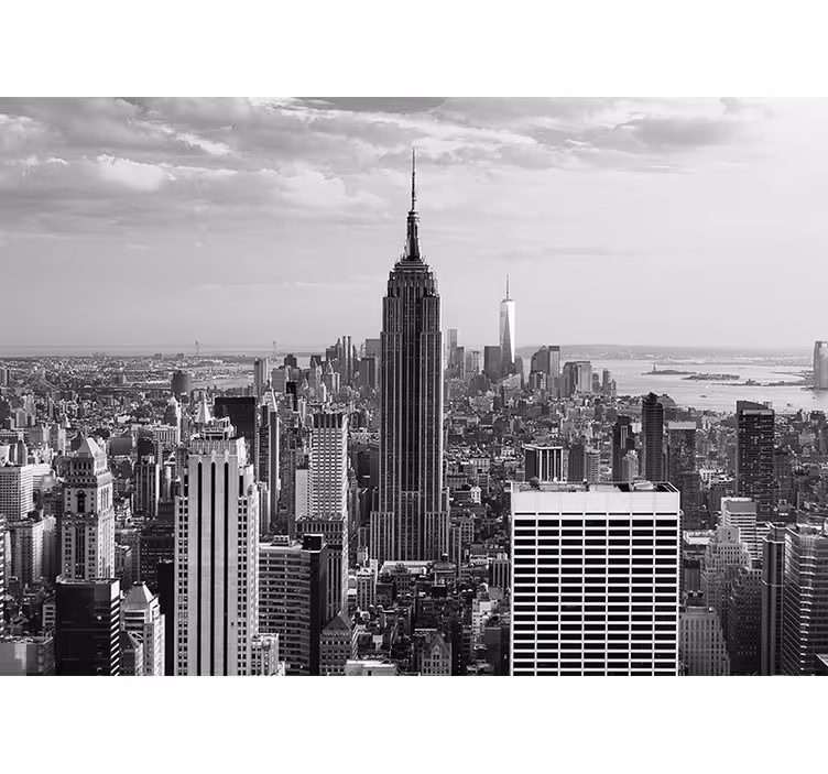 Fototapet new york empire state bylandskap - Tenstickers