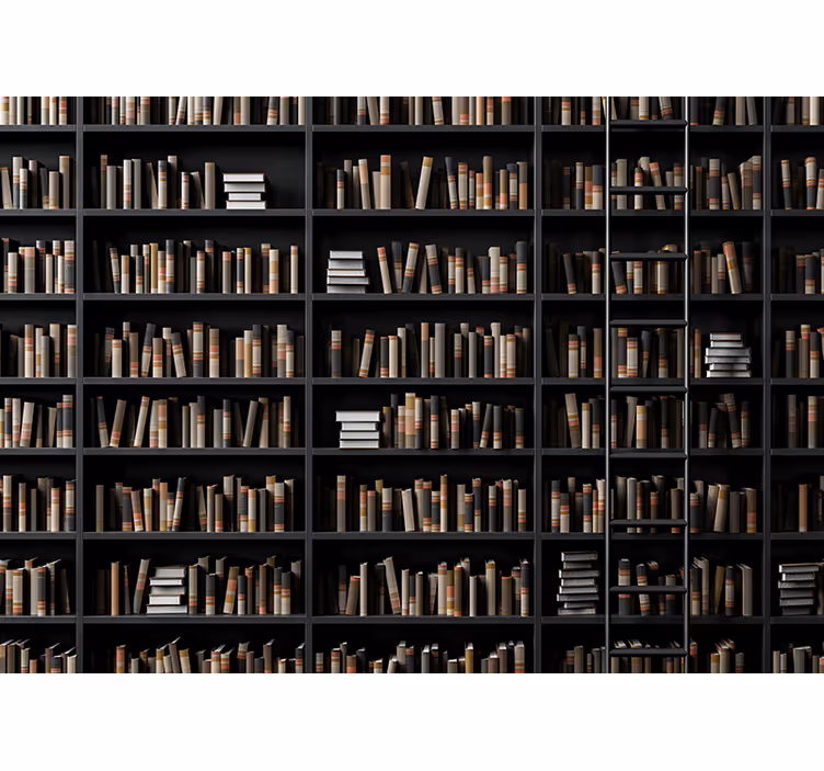 Fototapet stein bibliotekbok assortert - Tenstickers