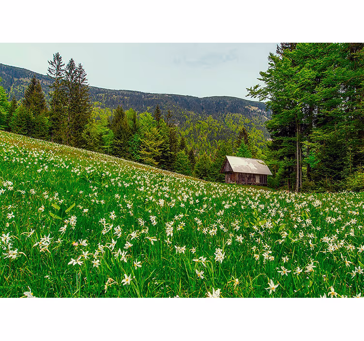 Fototapet natur rolig landlig landskap - Tenstickers