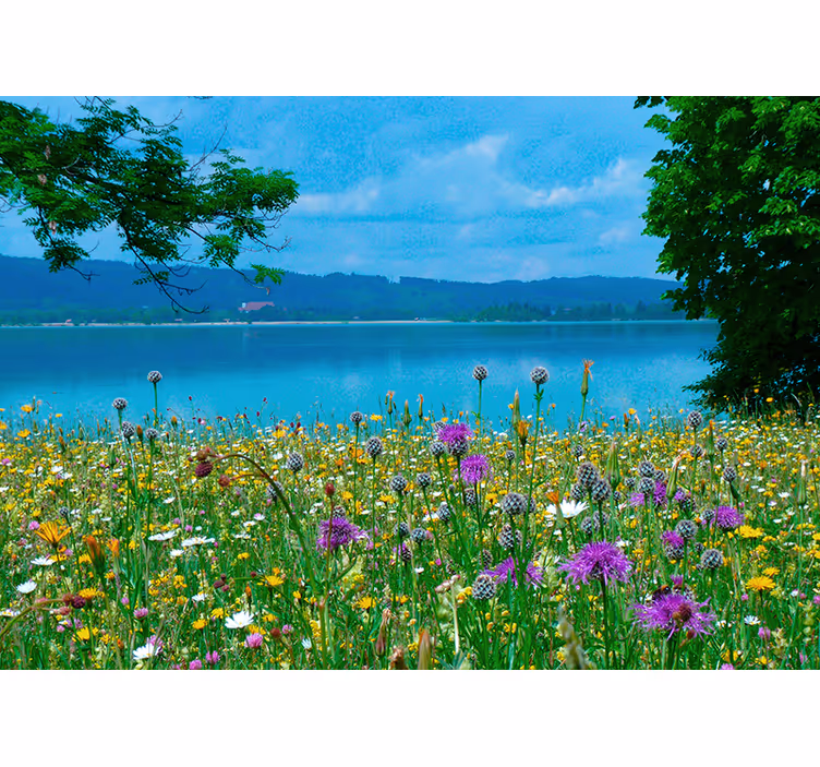 "cottagecore" kildevann fototapet natur - Tenstickers