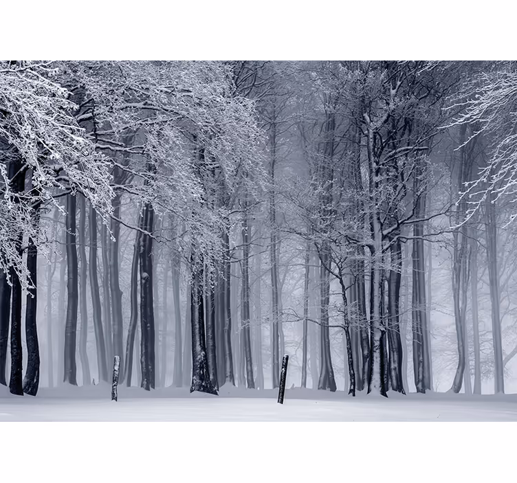 Snødekt trelandskap fototapet skog - Tenstickers