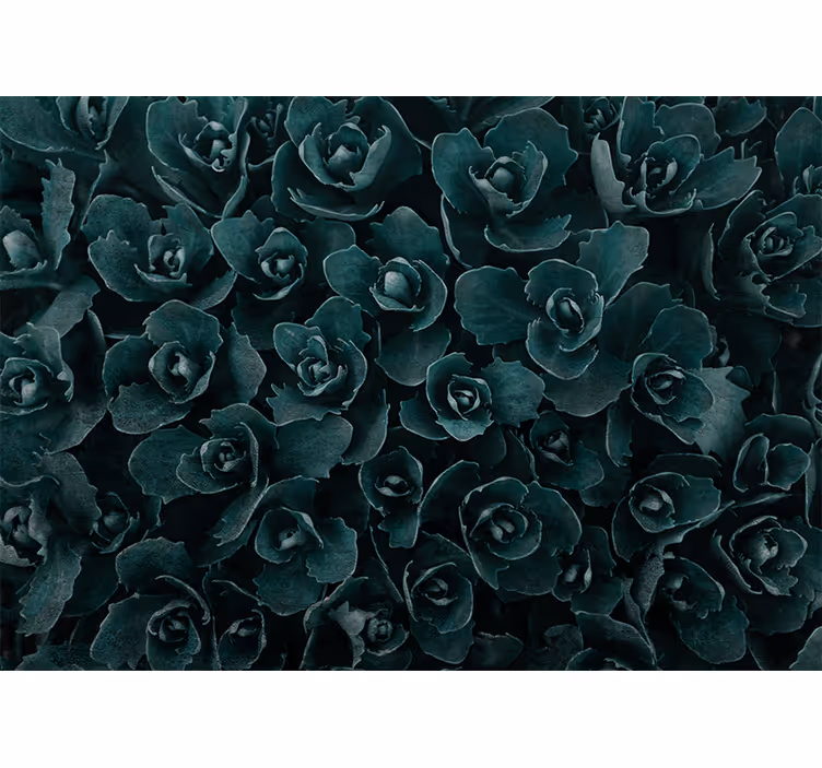 Fototapet blomster elegant roseblomstring - Tenstickers