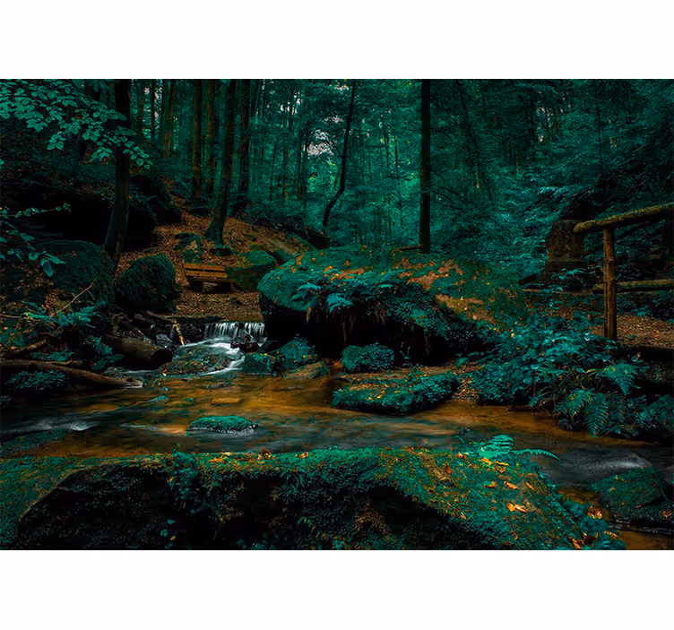 Fototapet skog rolig skogstrøm - Tenstickers