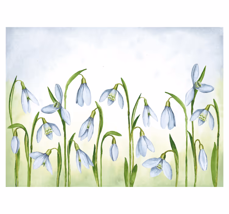 Vakre snøklokker blomsterdesign fototapet blomster - Tenstickers
