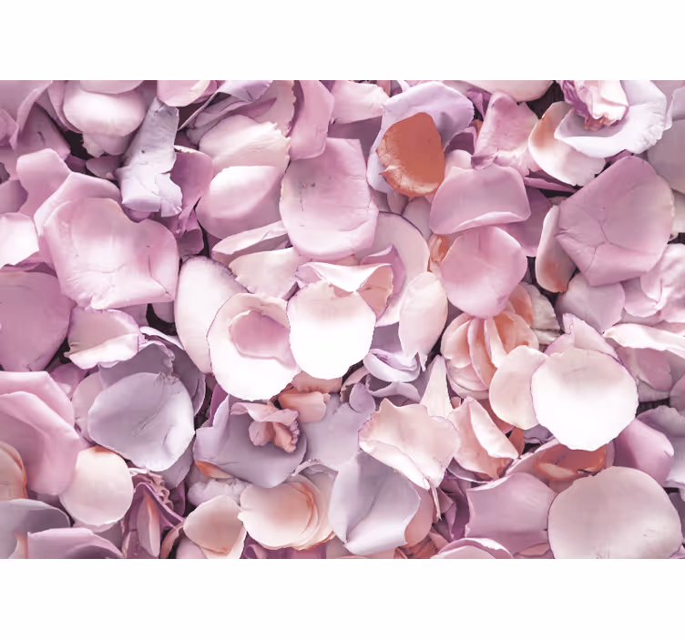 Fototapet blomster rosenblader nærbilde - Tenstickers