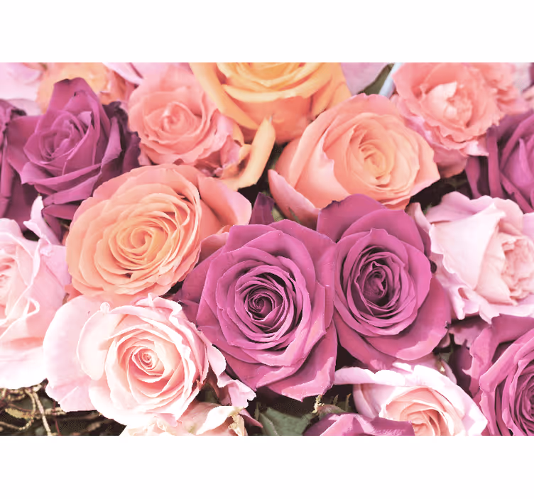 Fototapet blomster rosebukett nærbilde - Tenstickers