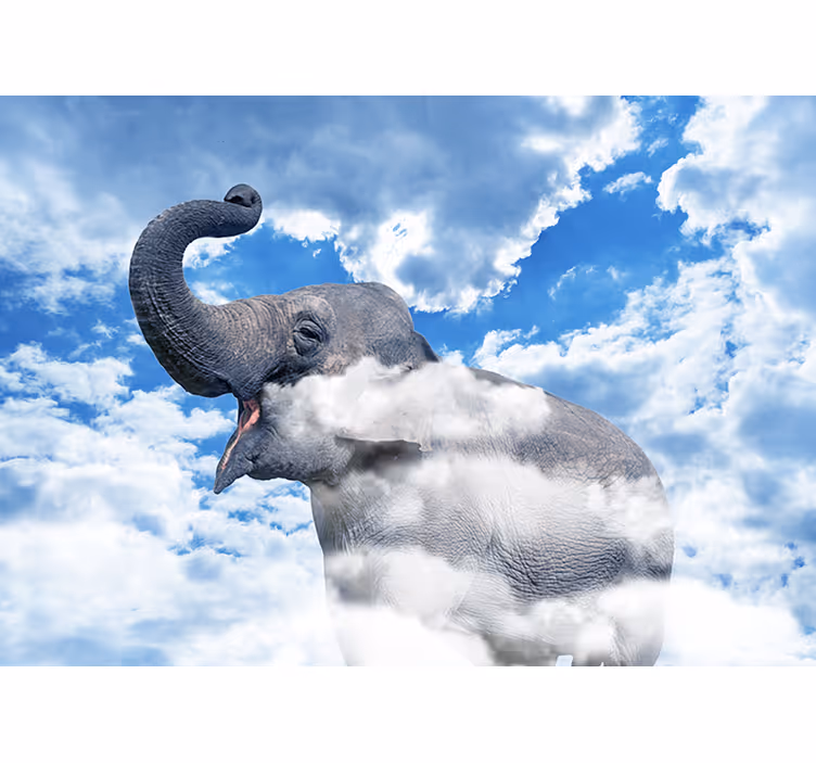 Fototapet dyr elefant i skyer - Tenstickers