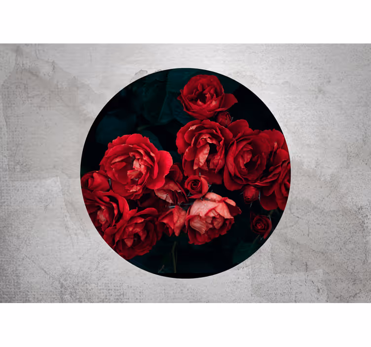 Fototapet rose røde roser i blomst - Tenstickers